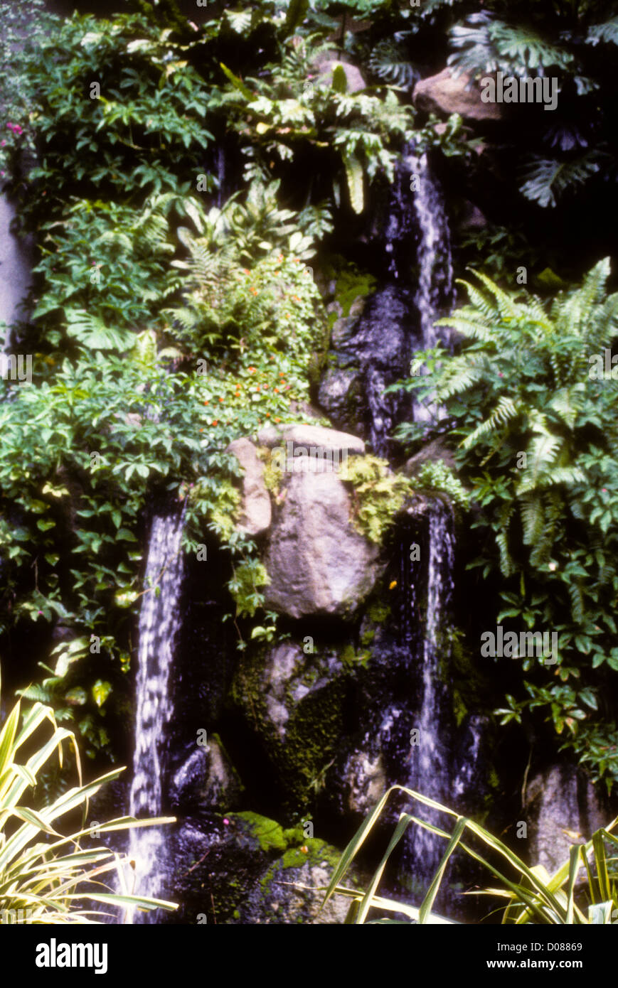 L'île de Rawa,plages bordées de palmiers, le sable blanc,la plongée,Plongée,reposant Côte Est de la Malaisie, Mer de Chine du Sud Banque D'Images