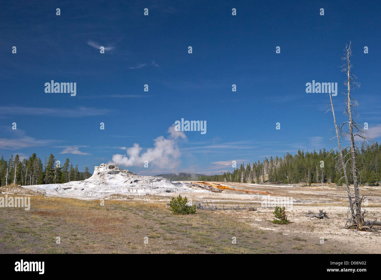 Castle Geyser, Upper Geyser Basin, Parc National de Yellowstone, Wyoming, USA Banque D'Images