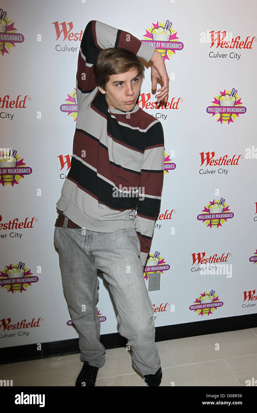 Disney stars Dylan Dylan Sprouse et Cole Sprouse accueillir un événement de collecte de fonds au profit de la Fondation 'Ride une vague' à des millions Banque D'Images