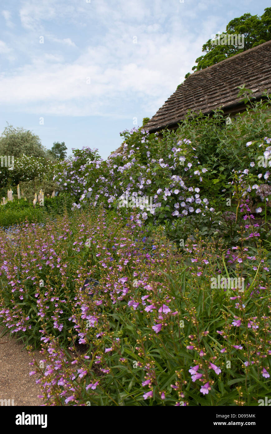 La Gertrude Jekyll frontière à Wakehurst Place, Ardingly, West Sussex, Angleterre. Banque D'Images