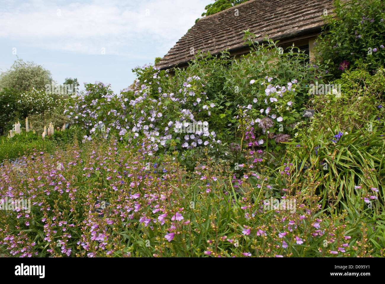 La Gertrude Jekyll frontière à Wakehurst Place, Ardingly, West Sussex, Angleterre. Banque D'Images