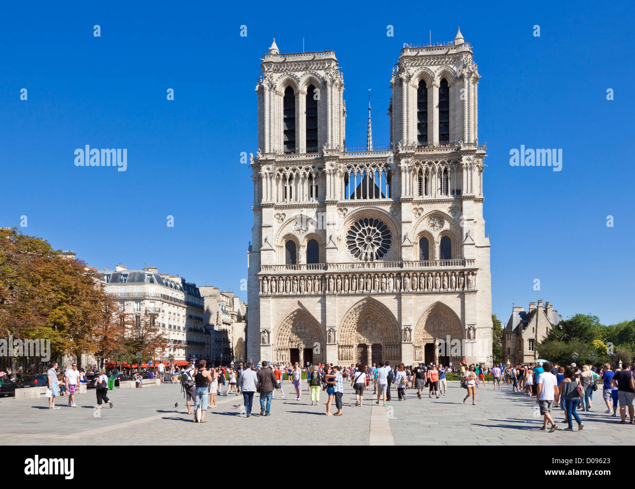 Façade de la cathédrale Notre Dame Ille de la Cite Paris France Europe de l'UE Banque D'Images