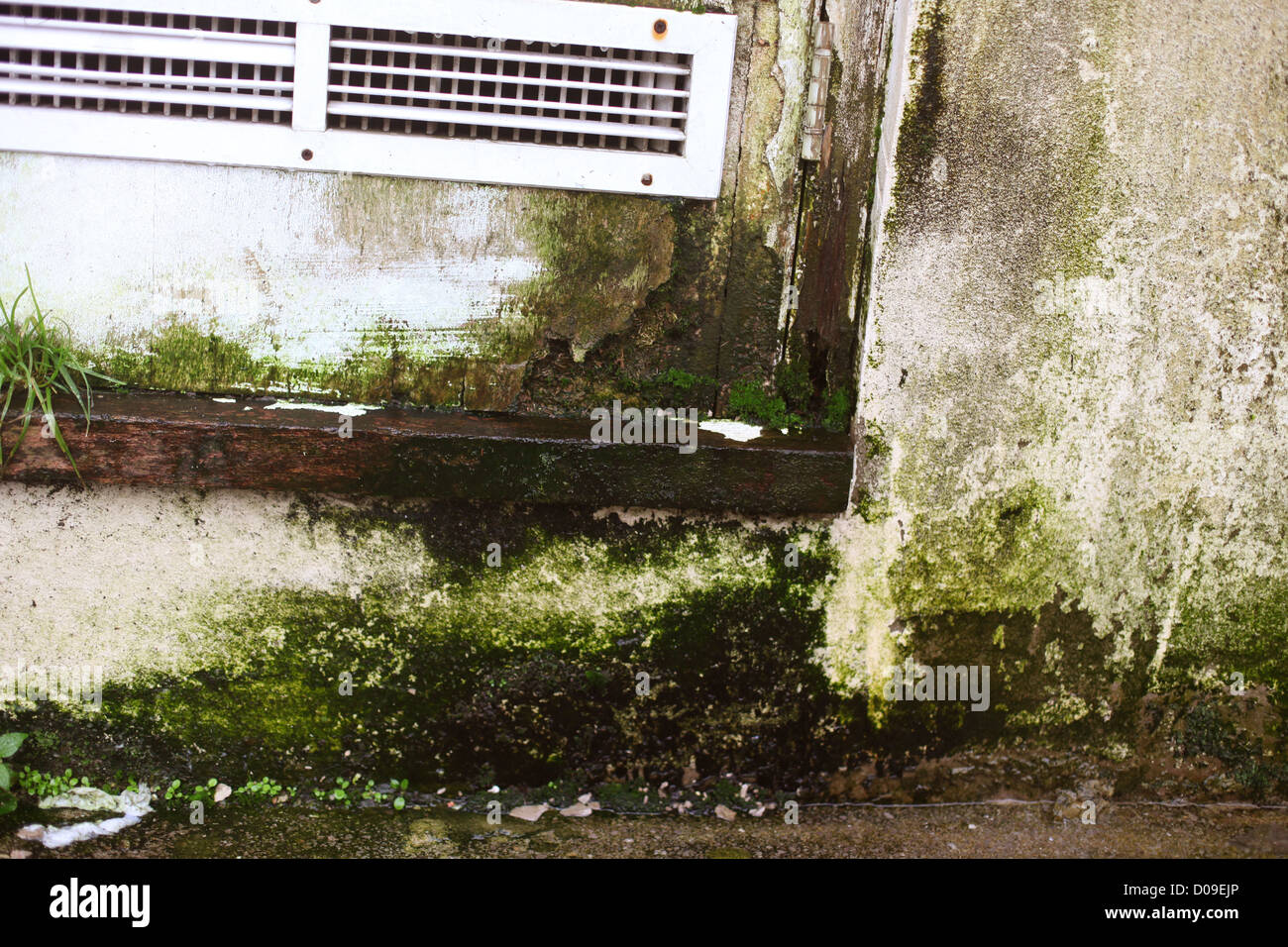 La décomposition du bâtiment en raison de l'humidité et de mauvais entretien, Weston super Mare, North Somerset, Angleterre, Royaume-Uni, 20 Novembre 2012 Banque D'Images