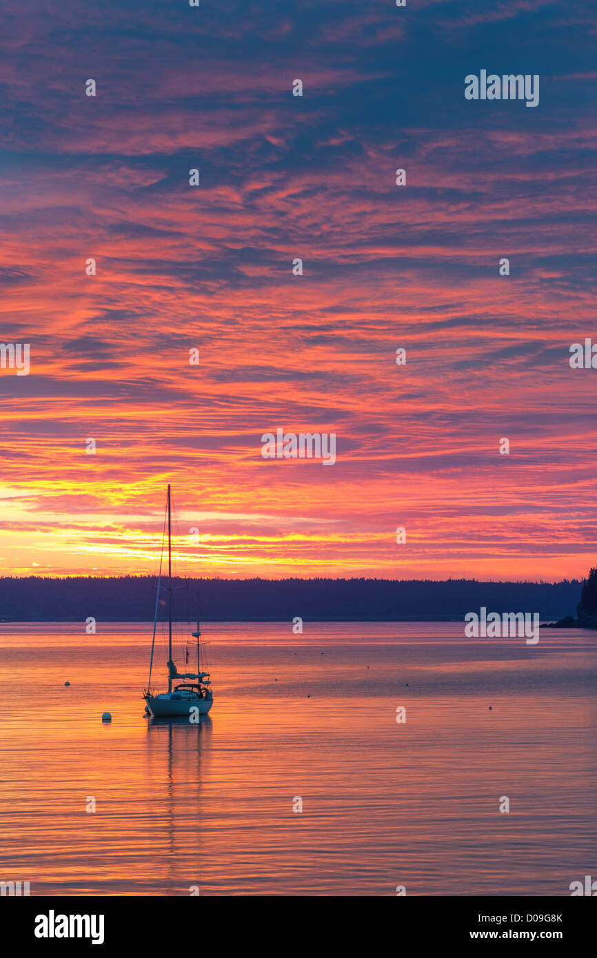 Lever du soleil à Bar Harbor, l'Acadie N.P, dans le Maine. Banque D'Images