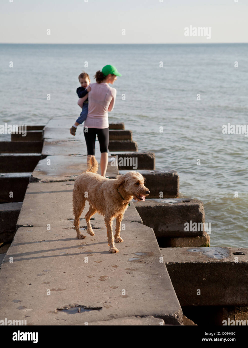 Une maman et son fils partagent une jetée avec un chien à la plage du lac Michigan. Banque D'Images