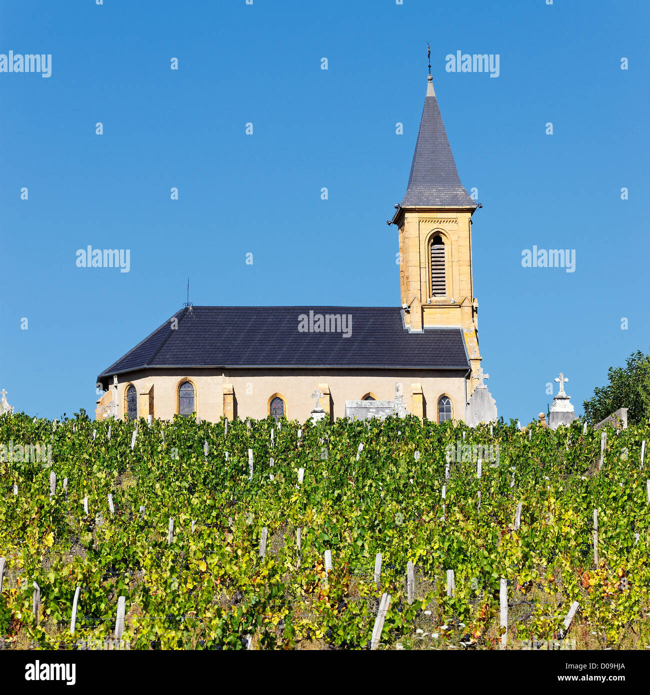 Vignobles et churchin pays français en été Banque D'Images