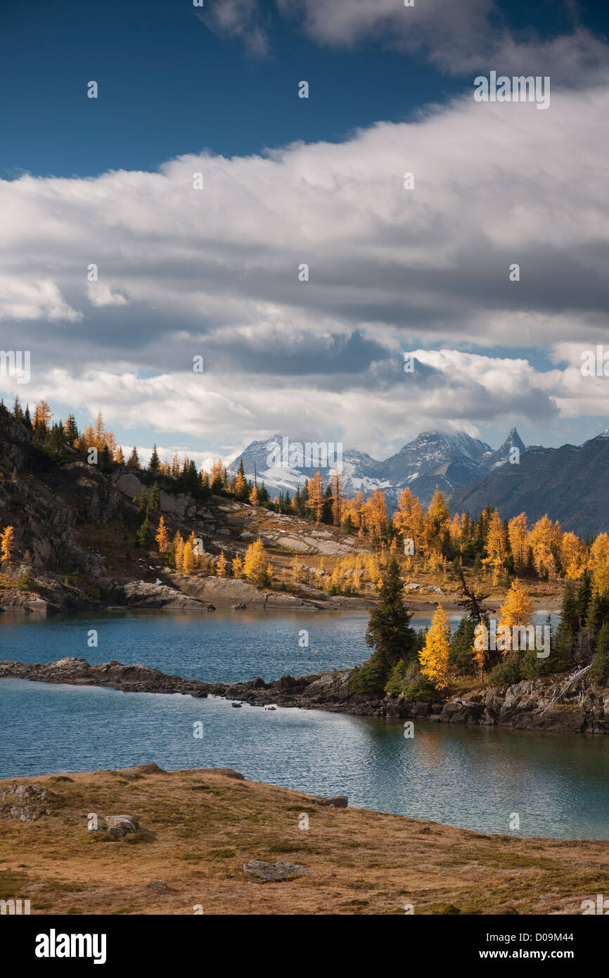 Montagne des Rocheuses canadiennes avec Rock Isle Lake au premier plan. Banque D'Images