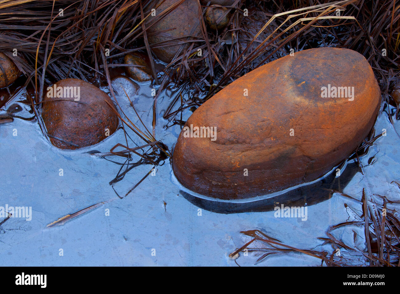 Image colorée de pailles et des pierres à Moelen, Norvège Banque D'Images