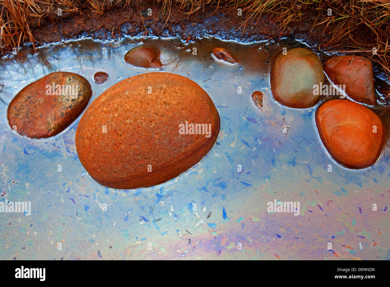 Image colorée de pailles et des pierres à Moelen, Norvège Banque D'Images