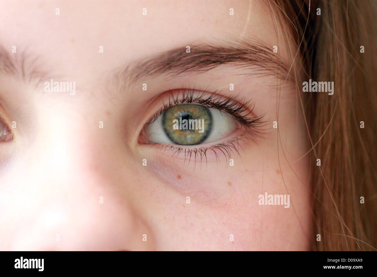 Gros plan d'une fillette de neuf ans's eye Banque D'Images