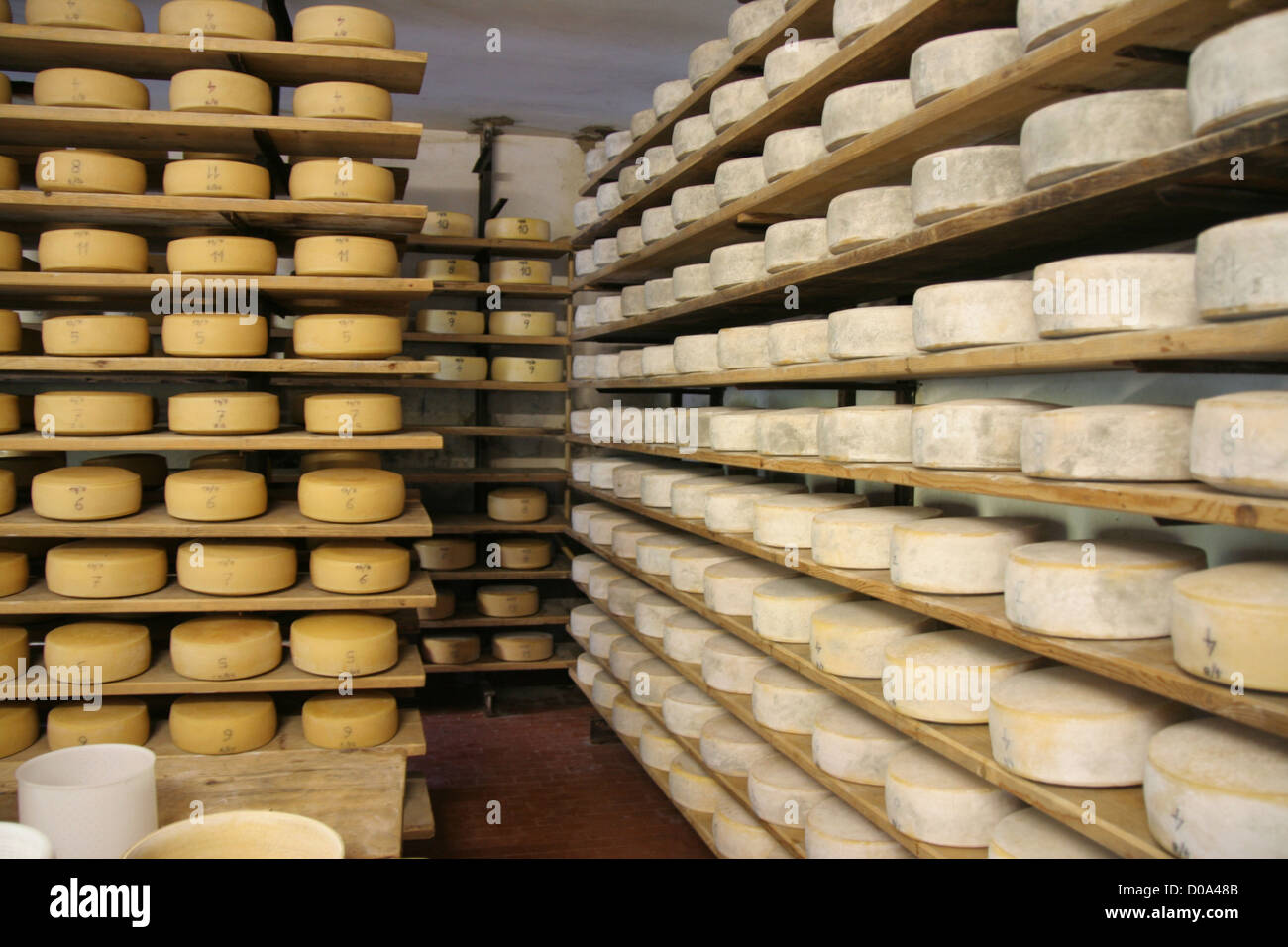 Fromages de montagne en magasin Banque D'Images