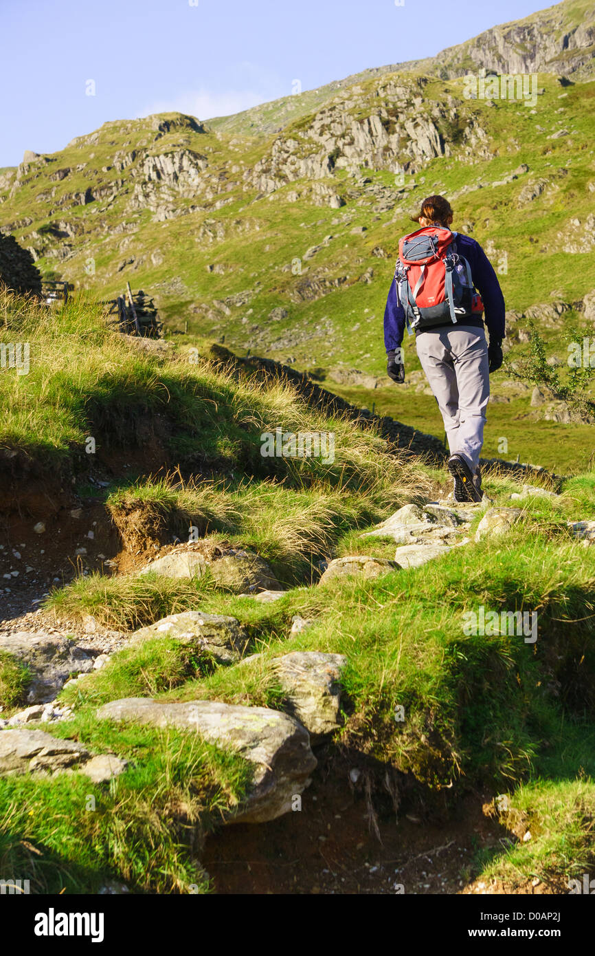 Un female hiker walking up Petit Beck de l'eau près de Haweswater dans le Lake District. Banque D'Images