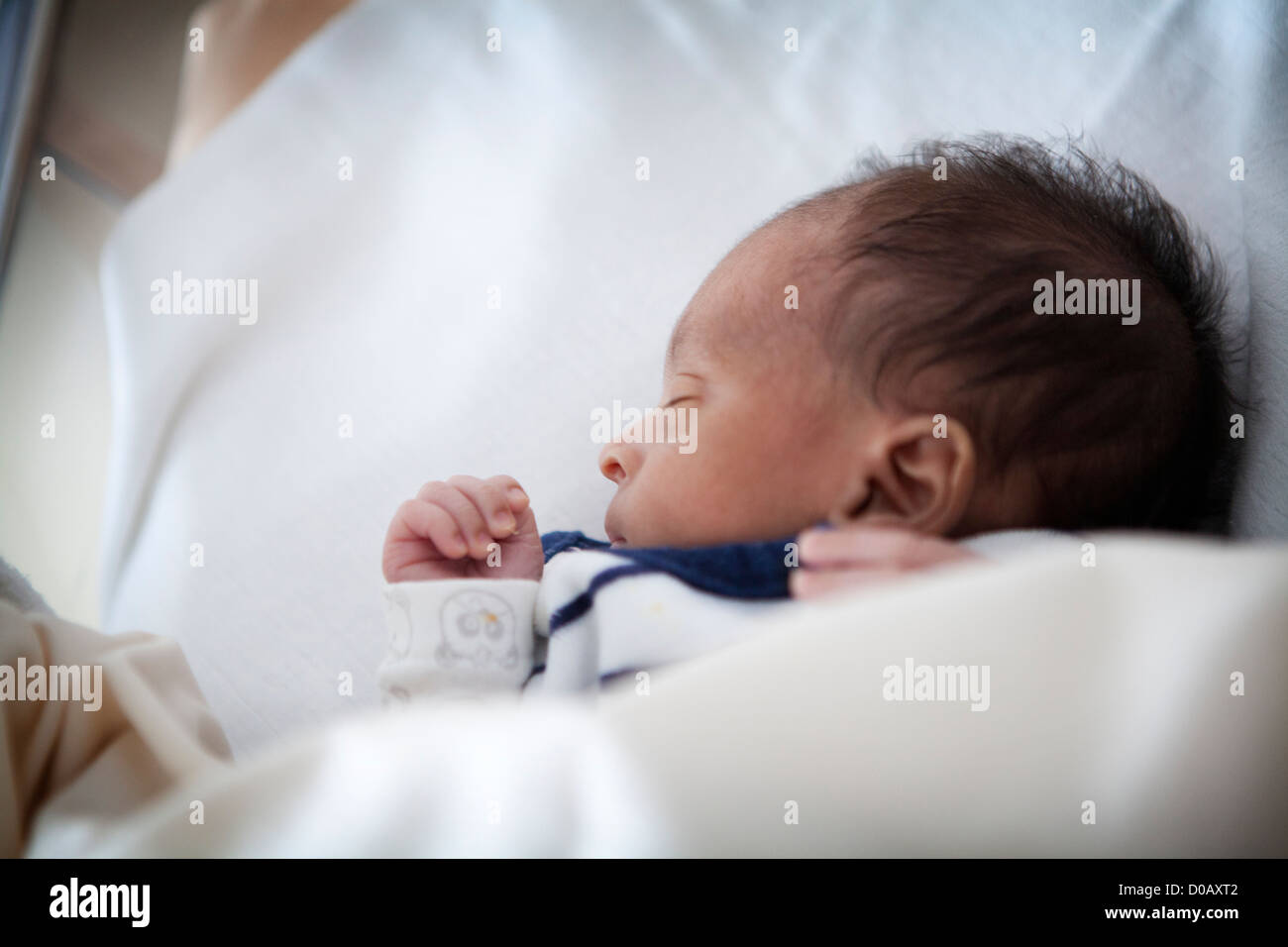 NÉONATALOGIE Banque D'Images