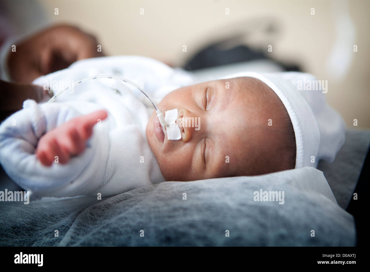 NÉONATALOGIE Banque D'Images