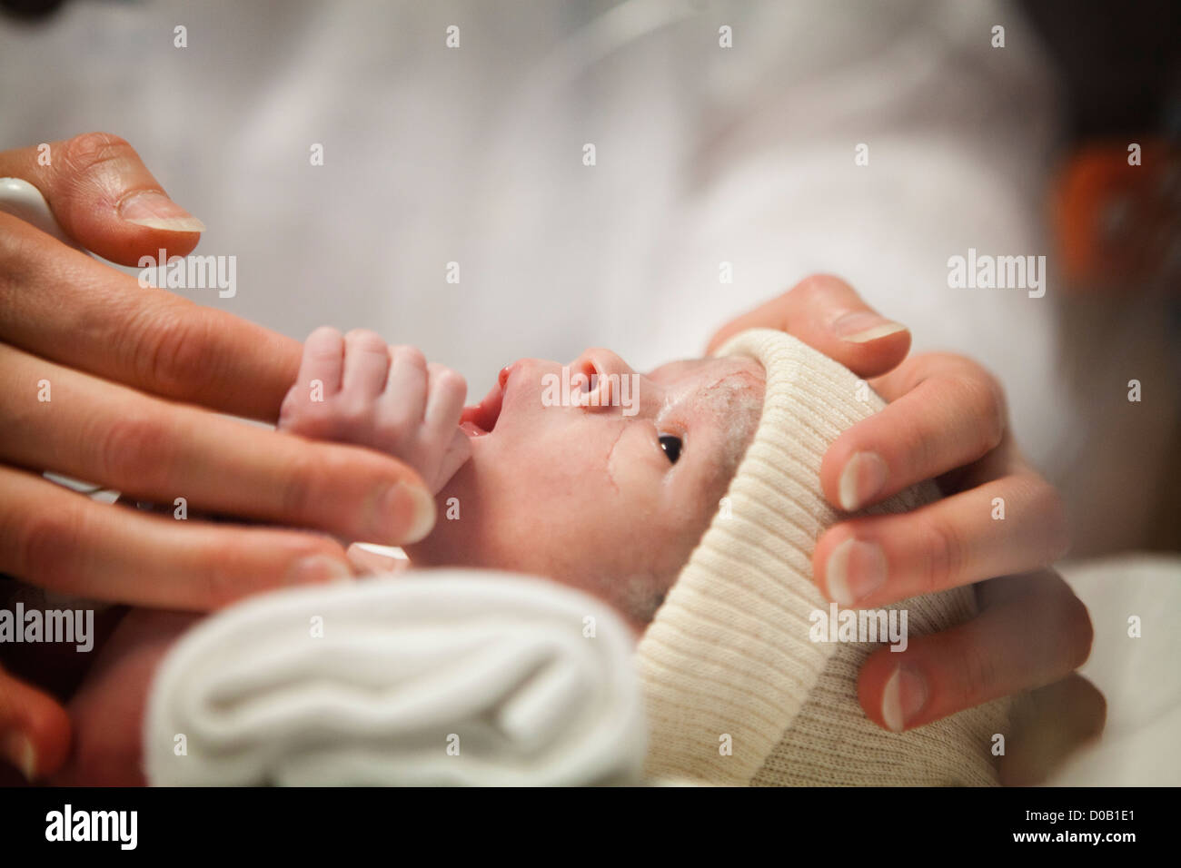 NÉONATALOGIE Banque D'Images