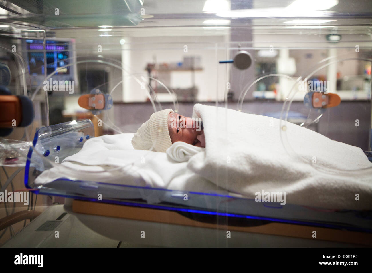 NÉONATALOGIE Banque D'Images