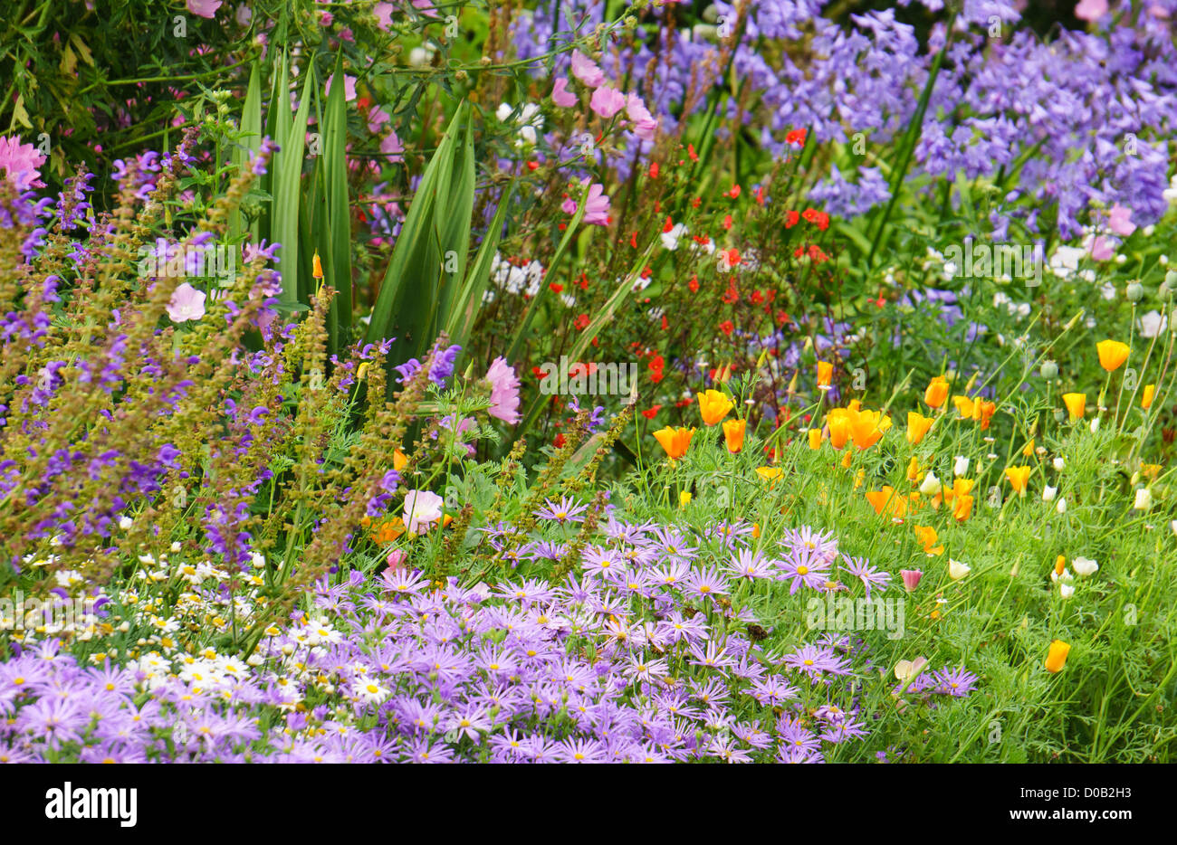 Jardins de fleurs boarder à Howick dans le Northumberland. Banque D'Images