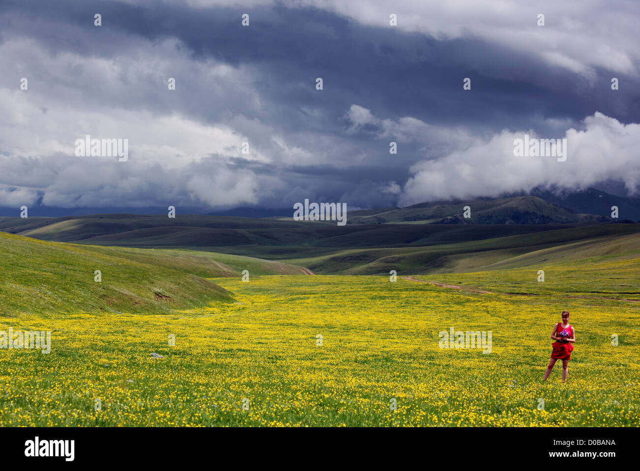 Les montagnes du parc national de la région d'Almaty assy Banque D'Images