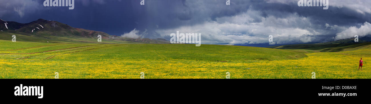 Les montagnes du parc national de la région d'Almaty assy Banque D'Images