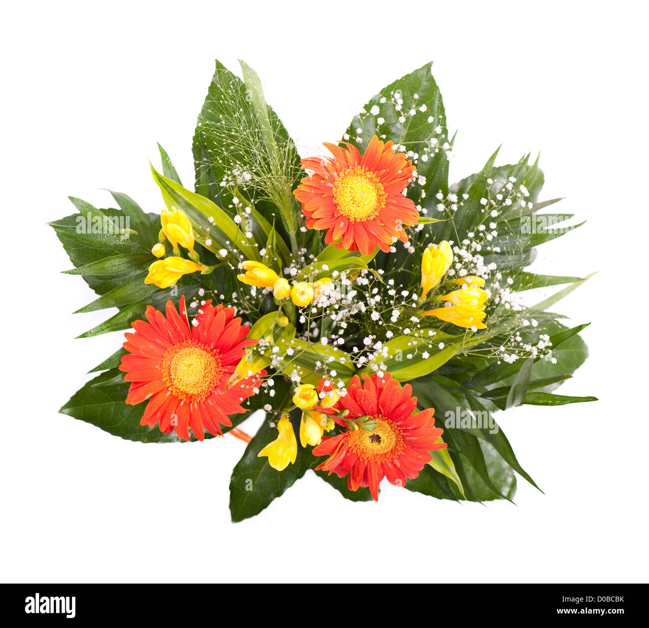 Mariage bouquet de freesia gerbera et daisy Banque D'Images