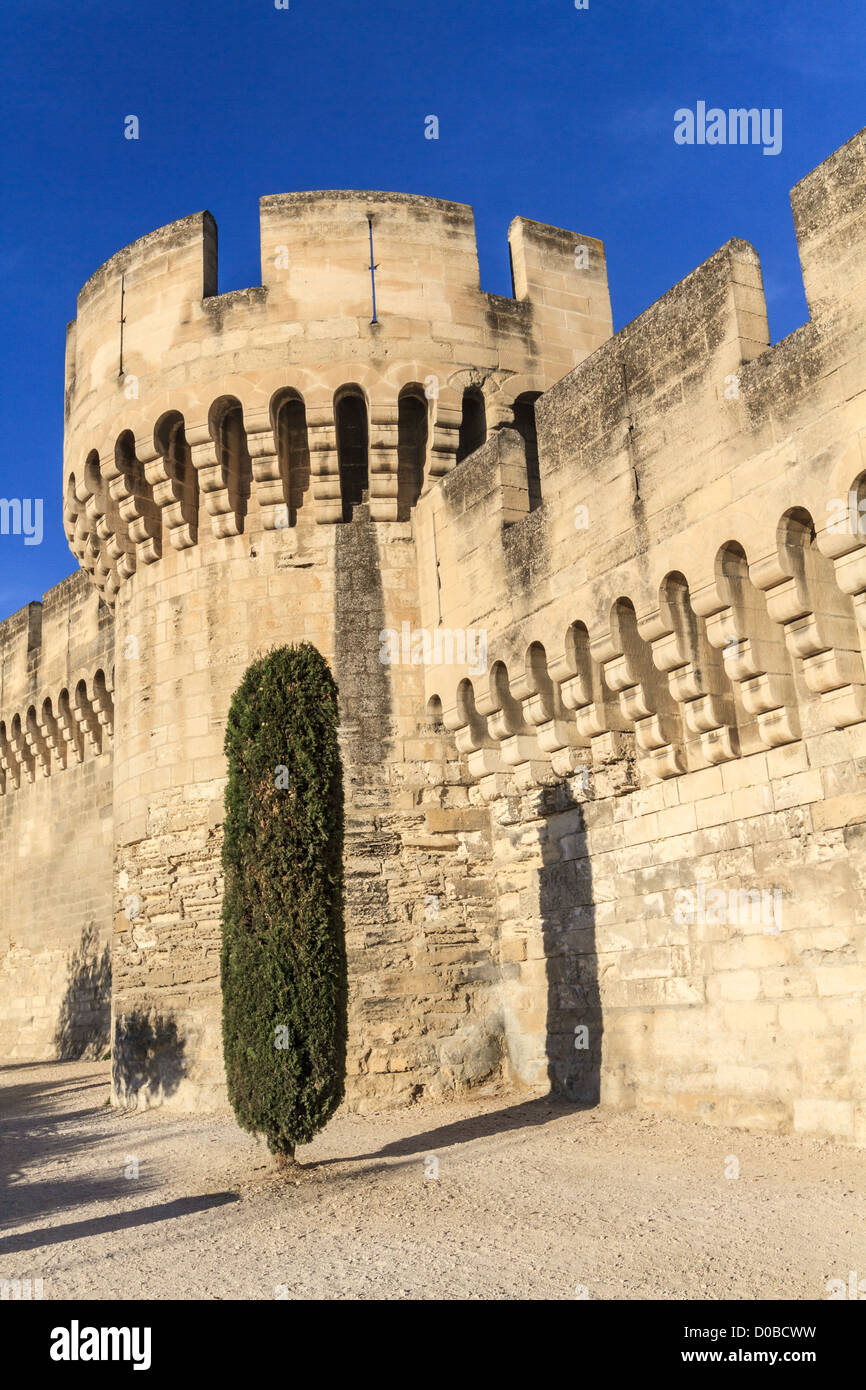 La ville médiévale d'Avignon / Fortifications, Provence, France Banque D'Images