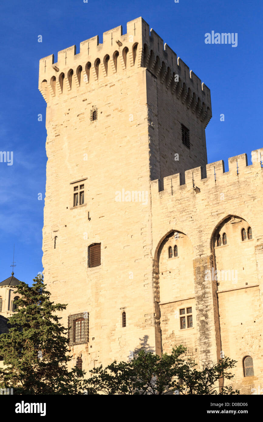 Avignon en Provence - Vue sur Palais des Papes Banque D'Images
