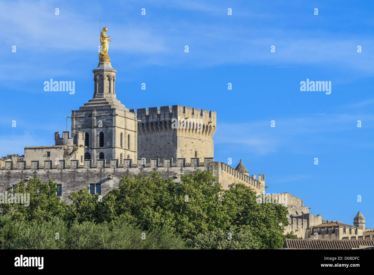 Avignon - Vue sur Palais des Papes et de l'église Notre-Dame des dômes, Provence, France Banque D'Images