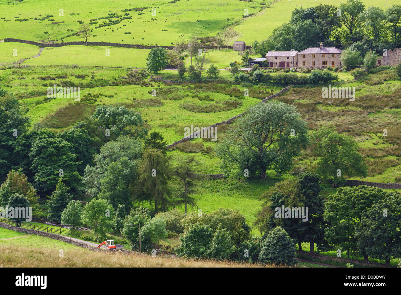Les bâtiments de ferme sur une colline près de Allendale dans le Northumberland. Banque D'Images