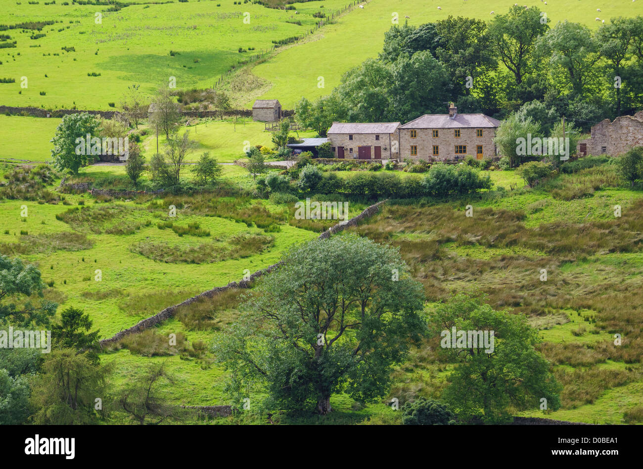 Les bâtiments de ferme sur une colline près de Allendale dans le Northumberland. Banque D'Images