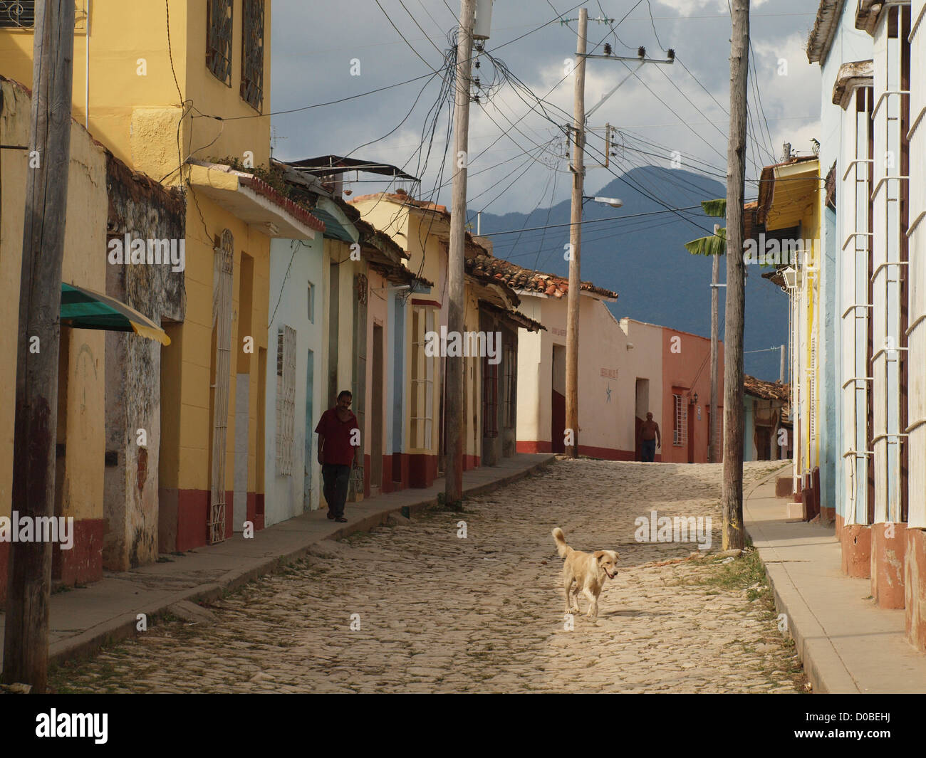 Chien errant dans la rue pavée, Trinidad Cuba - un site du patrimoine mondial de l'UNESCO Banque D'Images