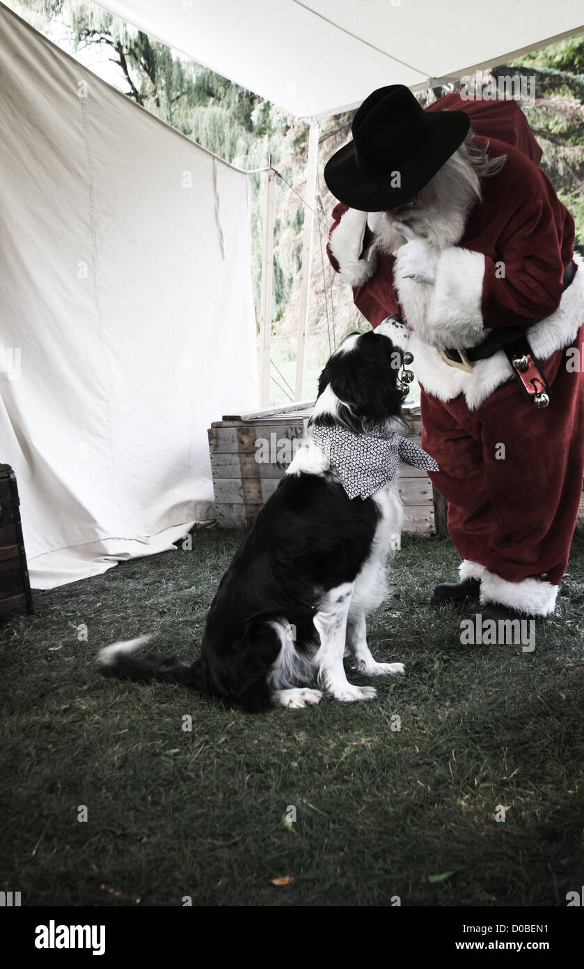 Père Noël venant de l'ouest dans une tente avec une atténuation des cadeaux de Noël un chien Banque D'Images