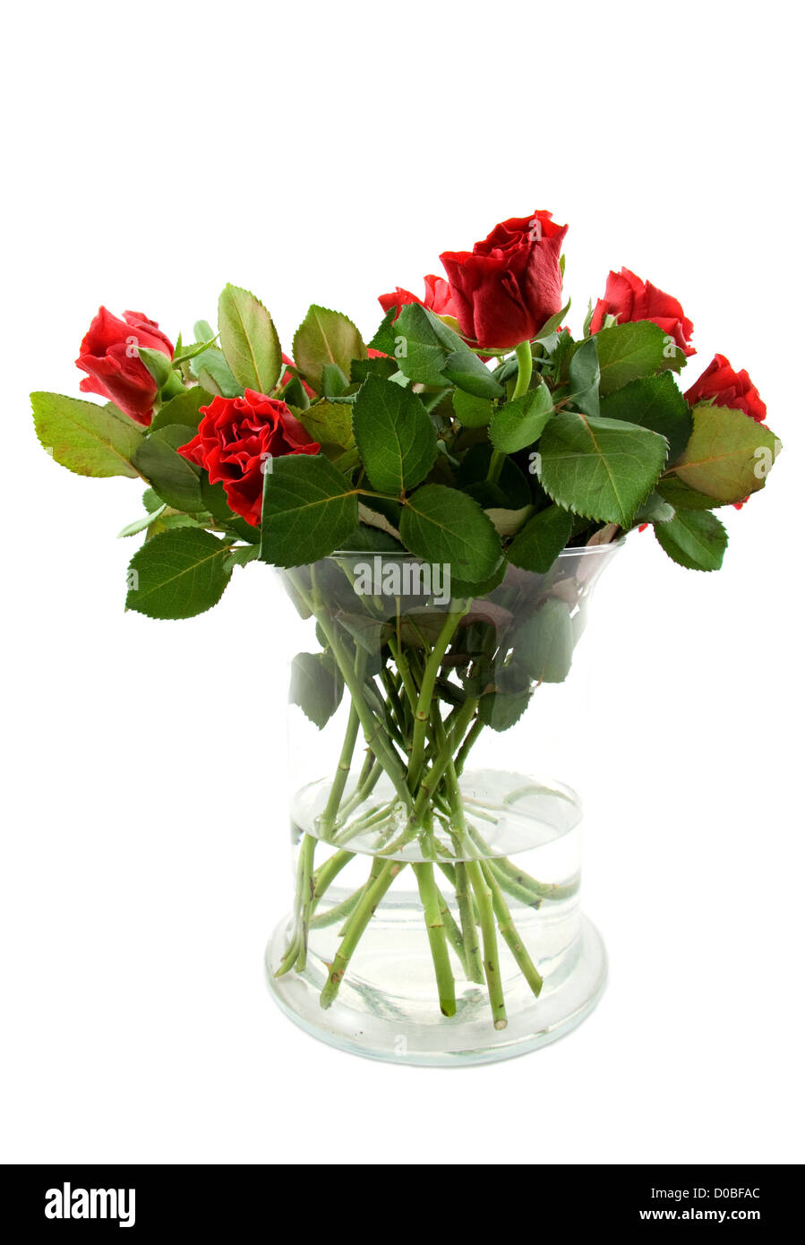 Bouquet de roses rouges dans un vase, isolé sur fond blanc Banque D'Images