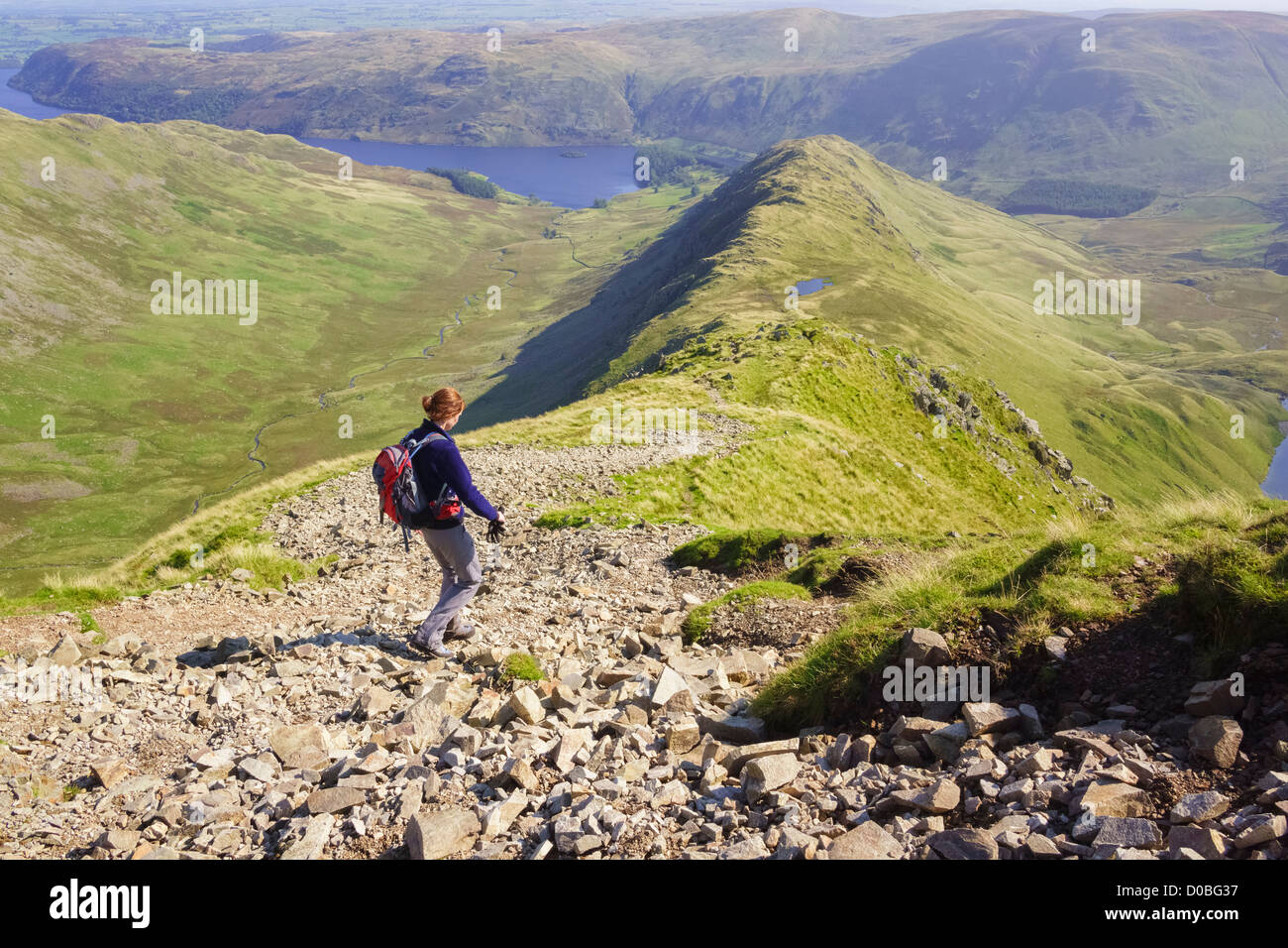 Un female hiker walking down Long Stile vers Rough Crag et Haweswater dans le Lake District. Banque D'Images