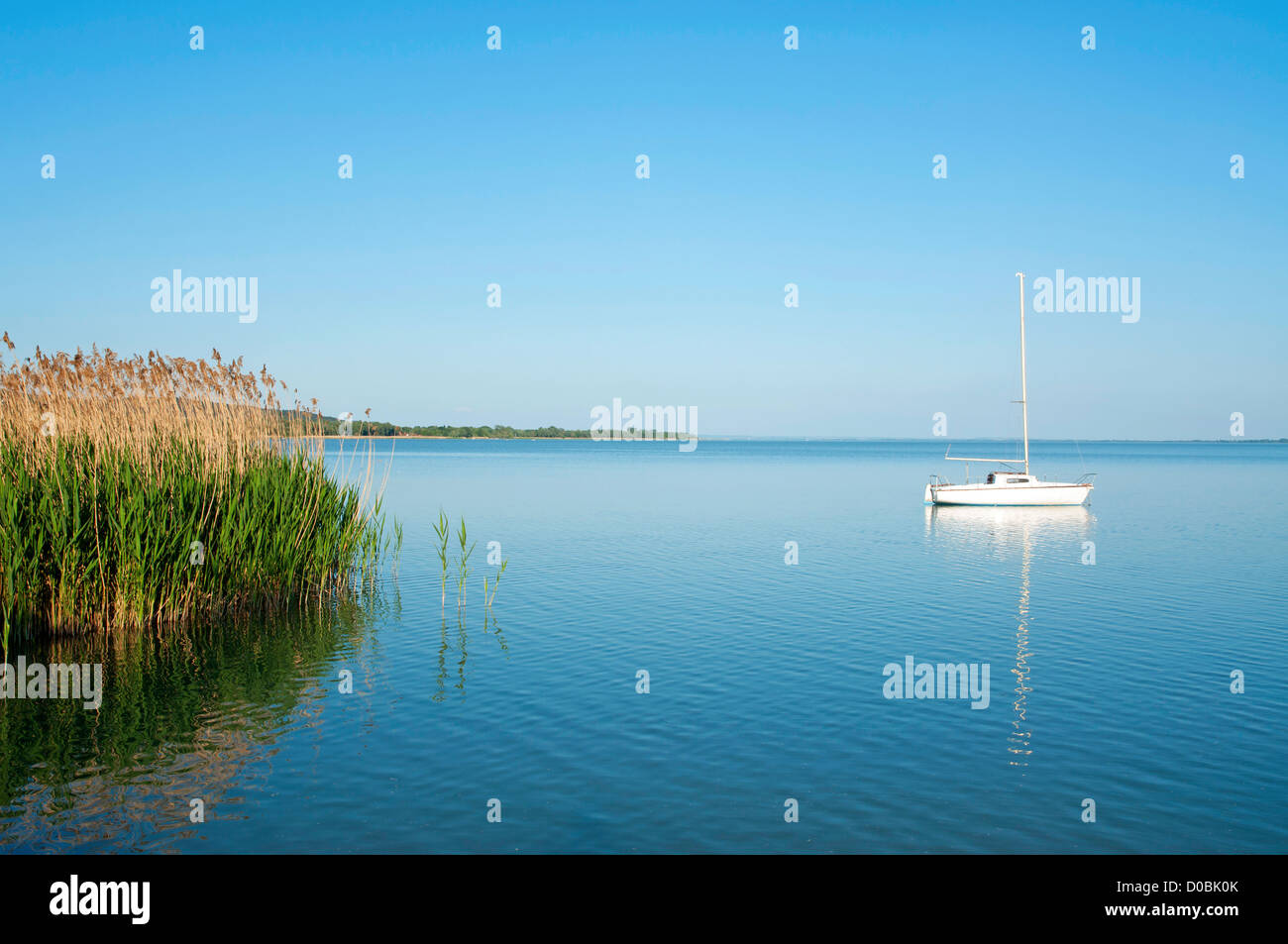 Paysage au Lac Balaton, Hongrie Banque D'Images