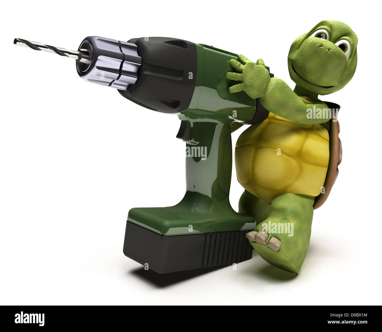3D Render of a percer Tortue Banque D'Images
