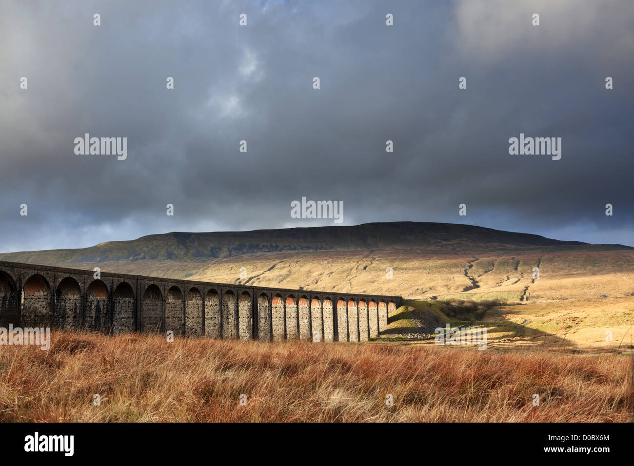 Ribblehead viaduc à Batty Moor dans le Yorkshire Dales national park Banque D'Images