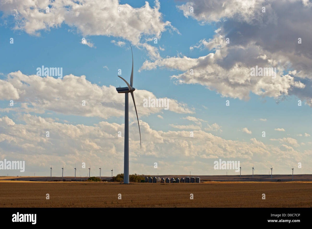Une ferme éolienne sur les plaines de l'Alberta, Canada, avec les lignes électriques. Banque D'Images