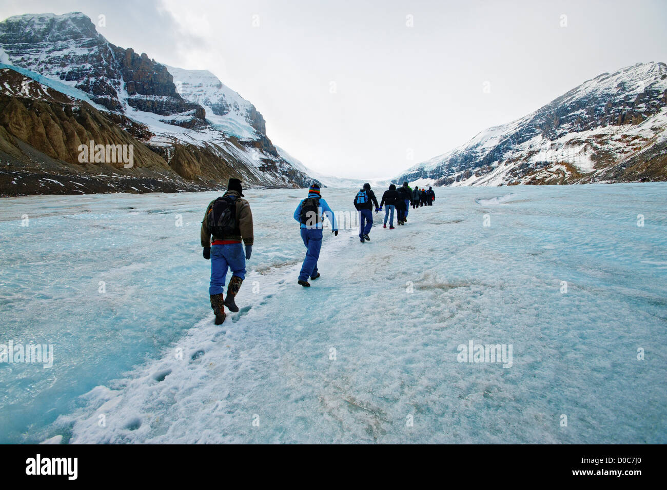 Les randonneurs de surface sur glacier Athabasca. Glacier Athabasca occupé la plupart Valley en 1960 mais au cours des cinquante dernières années global Banque D'Images