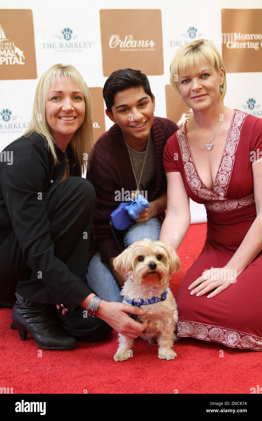 Vous l'animal de Barkley Hotel & Spa de jour et le nouveau village de Westlake à l'hôpital Animal Barkley Westlake Hotel & Spa Banque D'Images