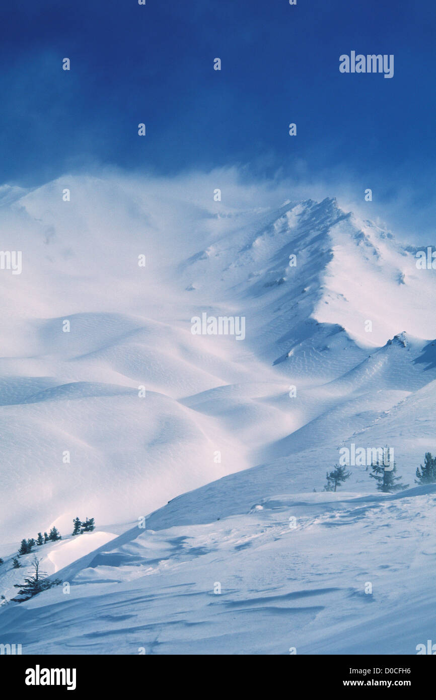 Coups de vent extrêmes Hors neige fraîche sur le Mont Shasta Ridge Casaval Banque D'Images