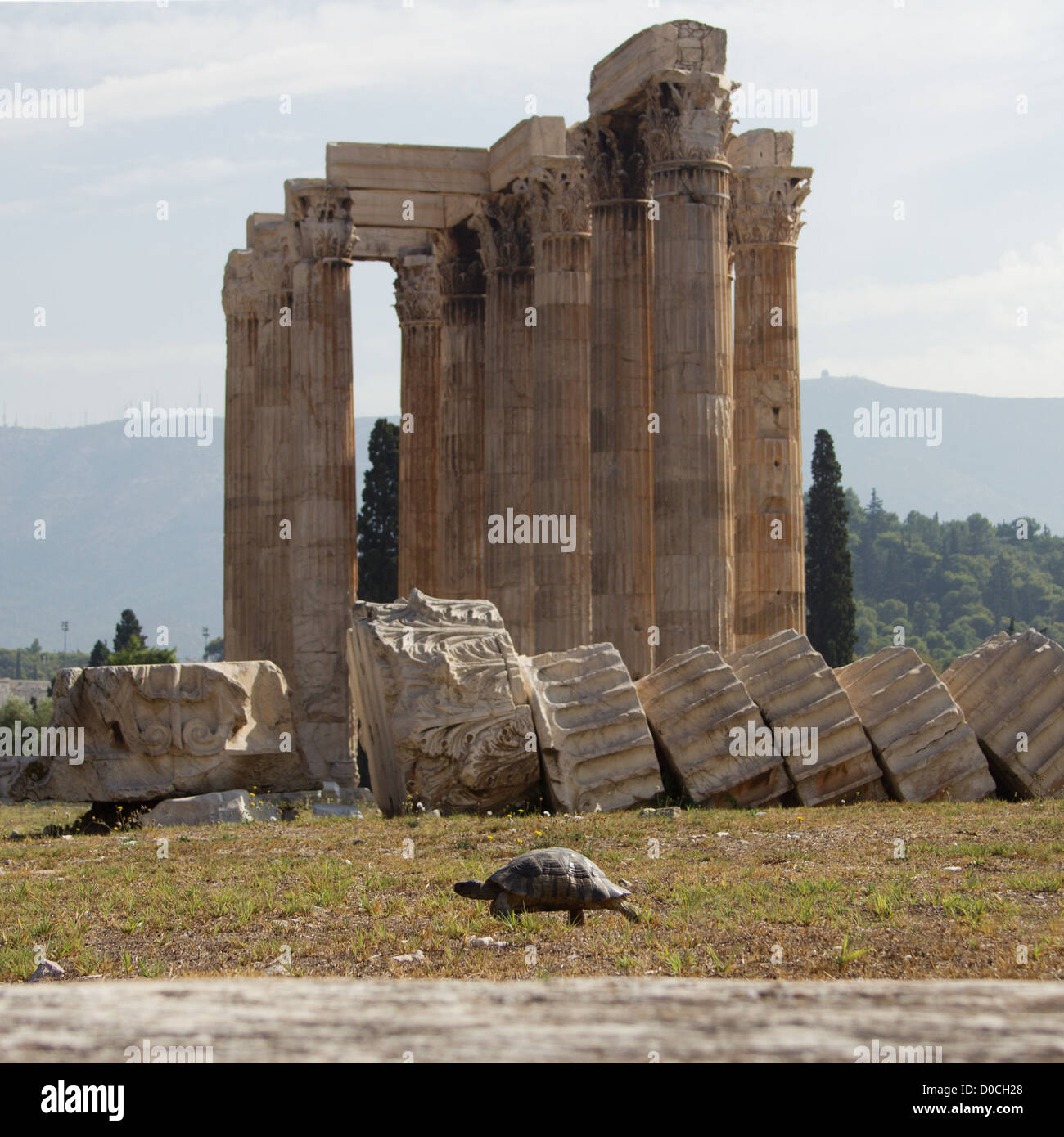 Le temple de Zeus olympien, également connu sous le nom de l'olympieion ou colonnes de la Zeus olympien, est un énorme temple en ruines dans le centre de la capitale grecque Athènes qui était consacré à Zeus, roi des dieux de l'olympe. L'un des symboles d'Athènes et la culture grecque Banque D'Images