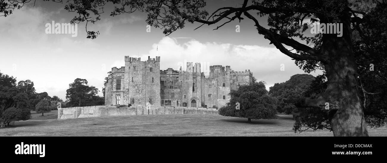 Le noir et blanc Raby Castle, Staindrop, Darlington, Durham County, Angleterre, Grande-Bretagne, Royaume-Uni Banque D'Images