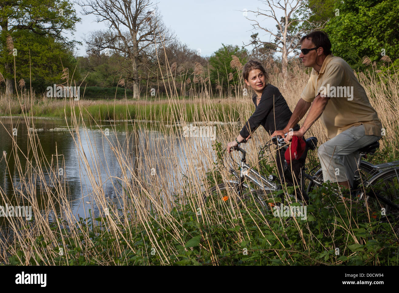 Groupe de cyclistes sur les rives d'un étang, LE DOMAINE DE CHAMBORD 'Loire à vélo' VELO UN CIRCUIT Loir-et-cher (41) FRANCE Banque D'Images