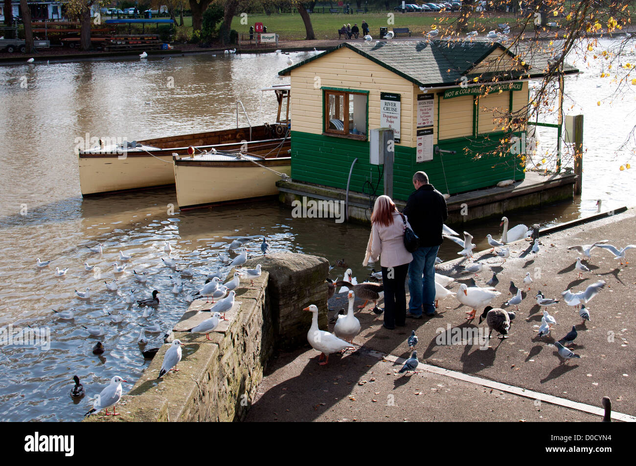 Couple nourrir les oiseaux par Avon, Stratford-upon-Avon, Royaume-Uni Banque D'Images