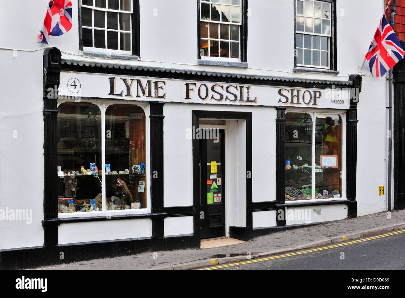 Combustibles fossiles Lyme boutique vendant à Lyme Regis, sur la côte jurassique, Dorset, dans le sud de l'Angleterre, Royaume-Uni Banque D'Images