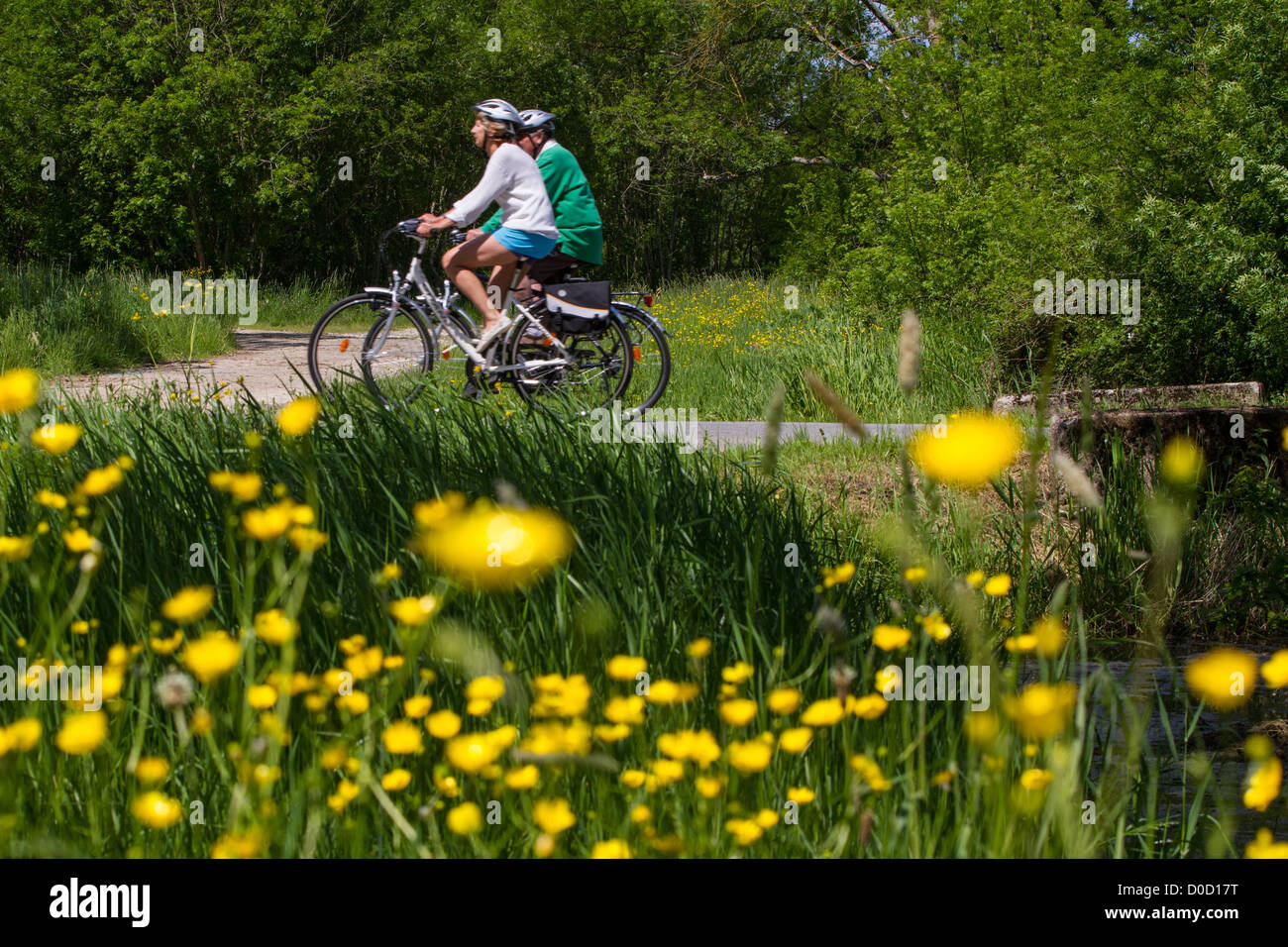 Les cyclistes DANS LE BOCAGE DE SAVIGNY-EN-VERON 'Loire à vélo' VELO UN CIRCUIT Indre-et-Loire (37) FRANCE Banque D'Images