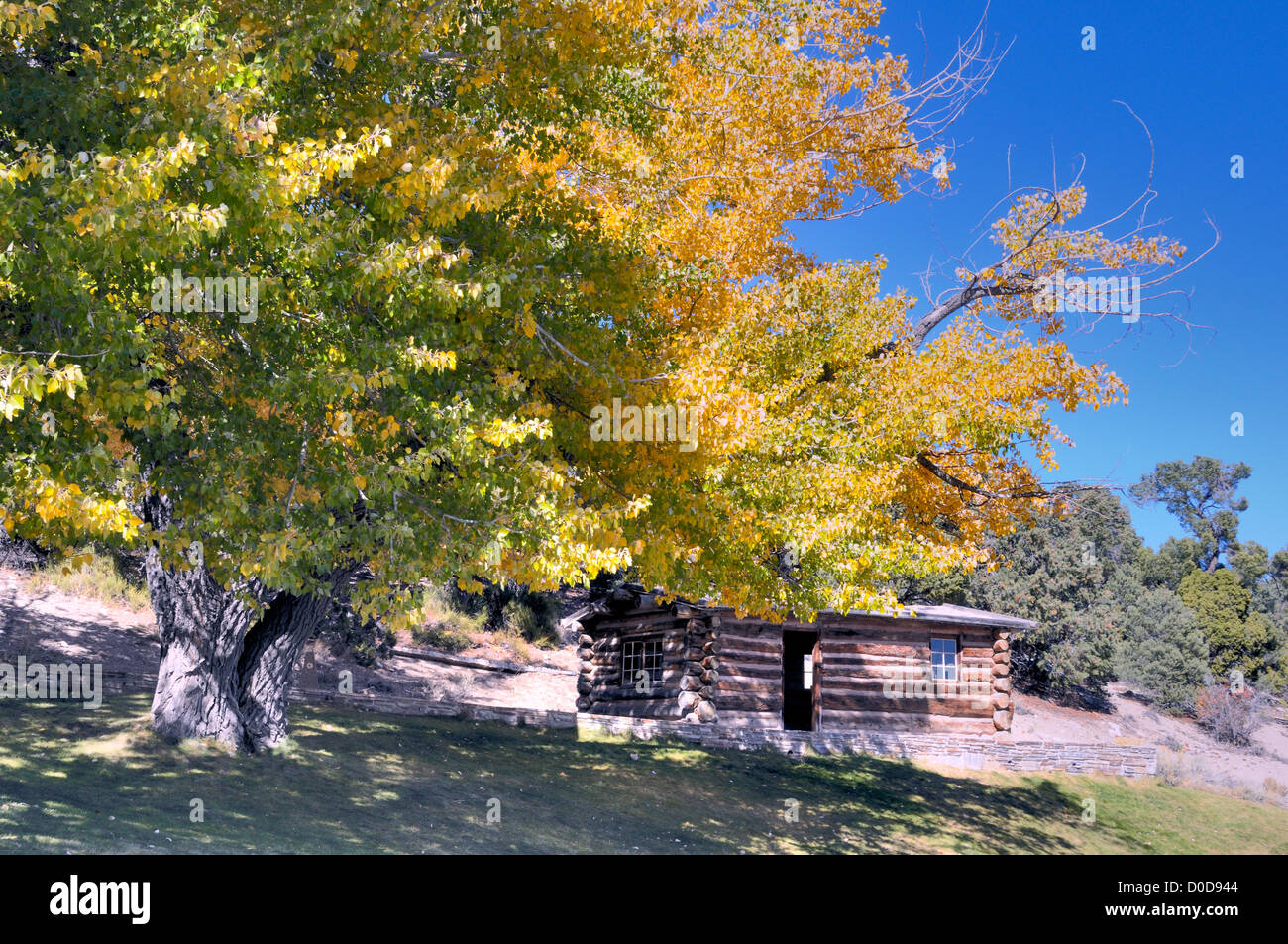 Log cabin au Parc National du Grand Bassin - Nevada USA Banque D'Images