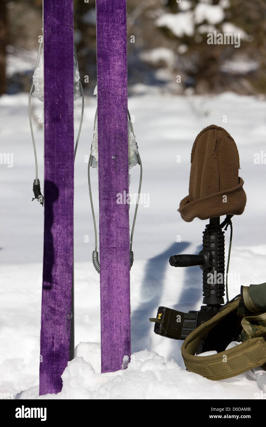 Skis et d'armes au cours de la formation de tireurs de montagne Banque D'Images