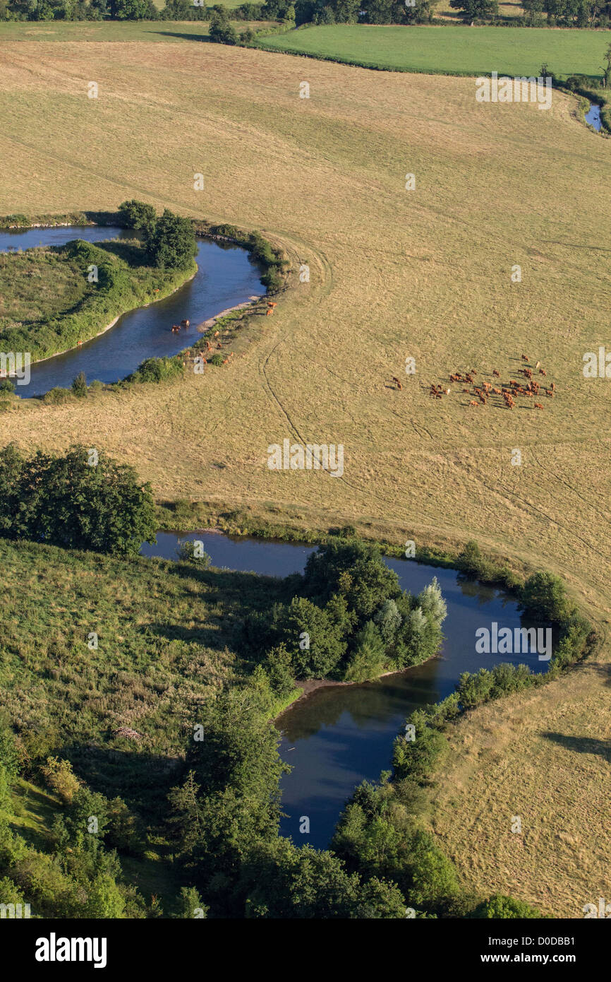 Un COUDE DE LA RIVIÈRE ET D'UN TROUPEAU DE VACHES AU BORD DE LA VALLÉE DE L'EURE ENTRE LOUVIERS ET PACY-SUR-EURE EURE (27) Normandie France Banque D'Images