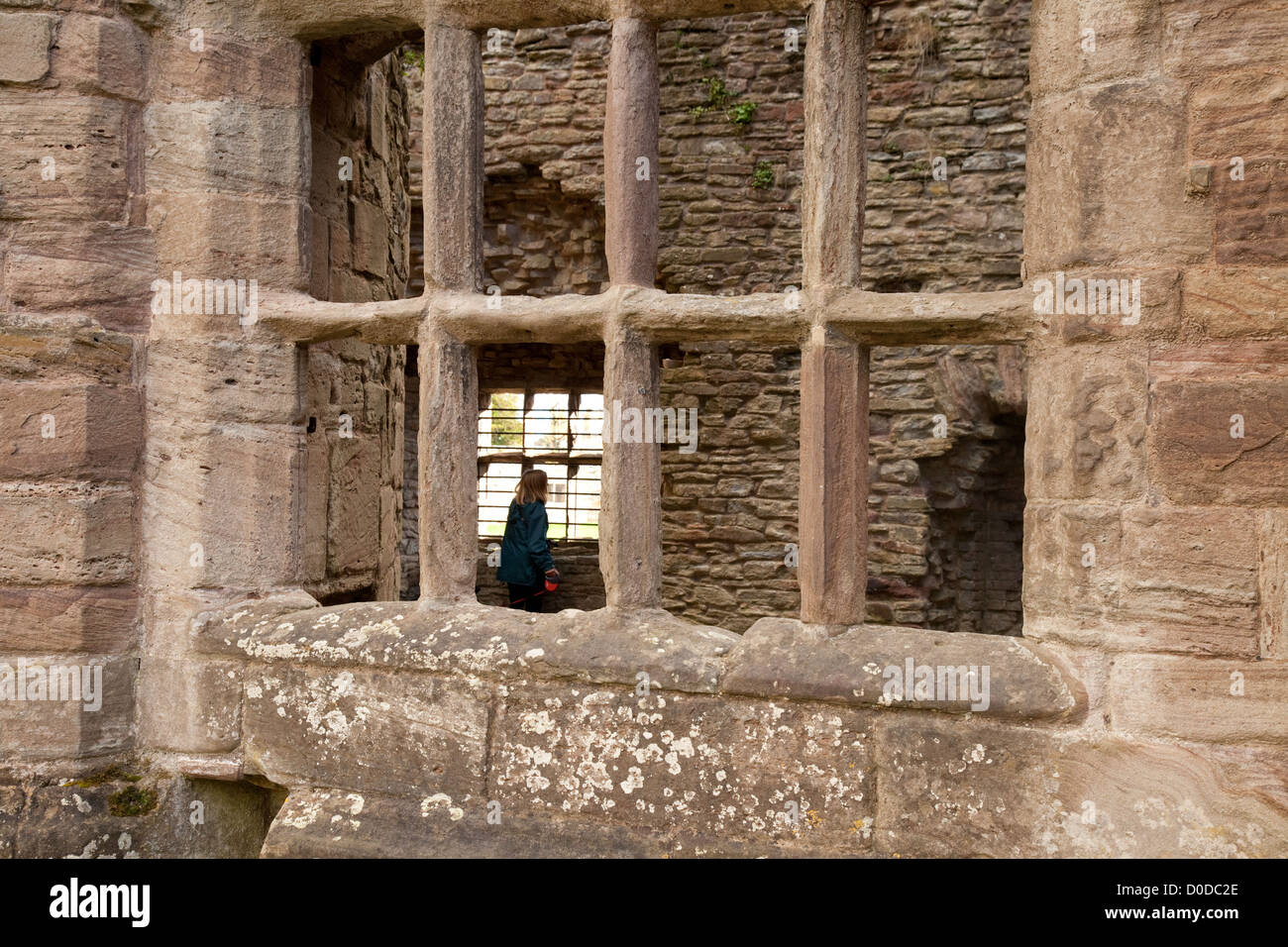 Un visiteur dans les ruines de 11e siècle, château médiéval de Ludlow Ludlow Shropshire England UK Banque D'Images